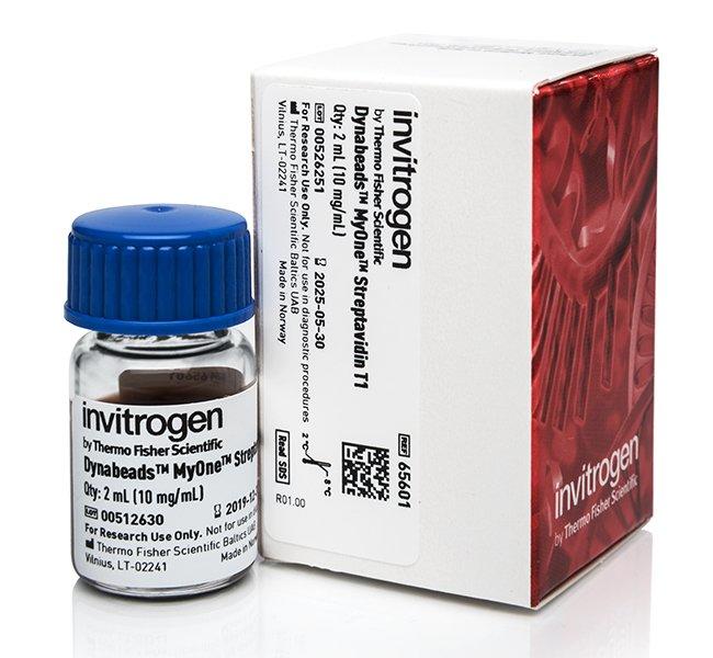 Dynabeads MyOne Streptavidin T1 | 製品情報 | ベリタス